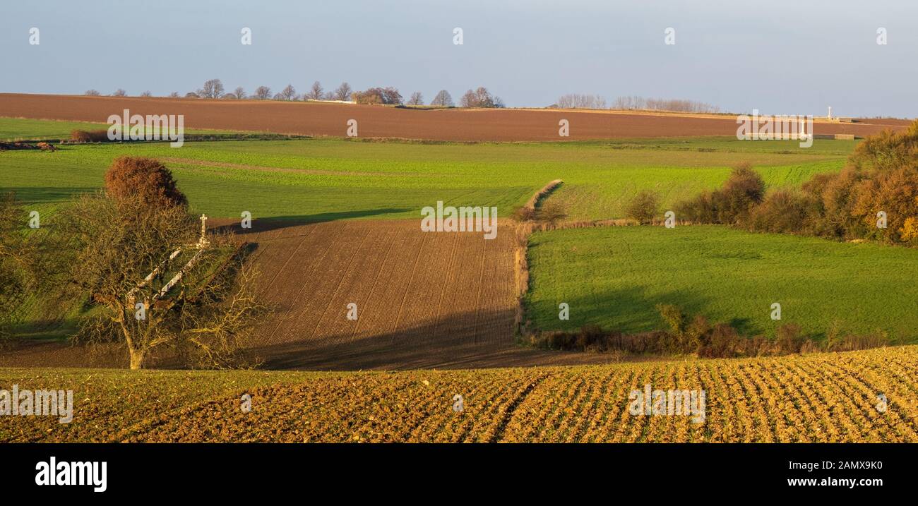 Campo di battaglia della Somme con il cimitero di Beaumont-Hamel Foto Stock