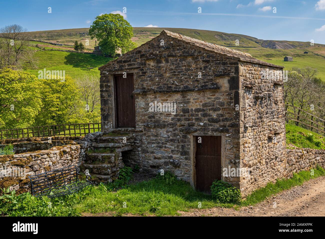 Un campo fienile in Swaledale vicino Keld, North Yorkshire, Inghilterra, Regno Unito Foto Stock