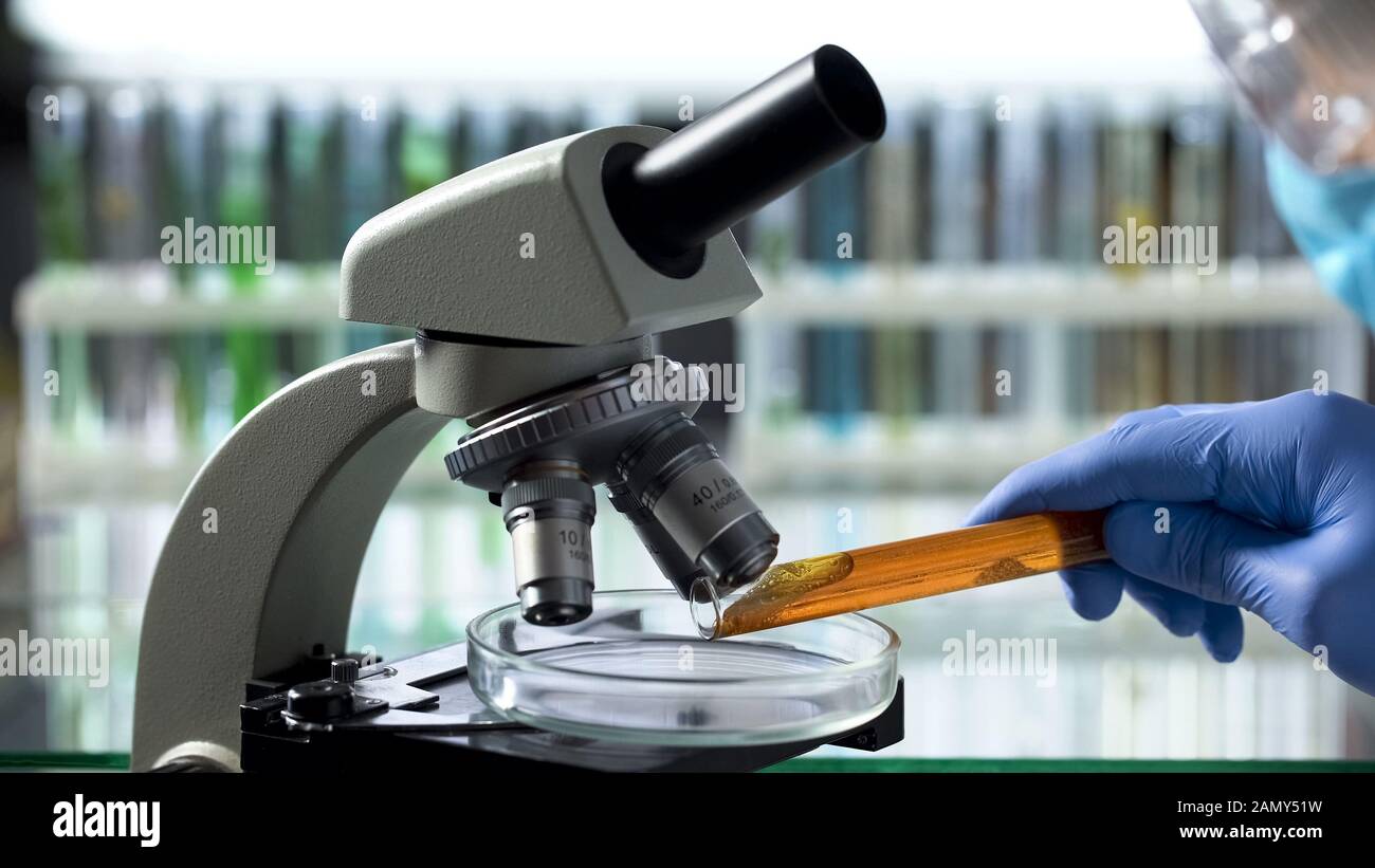 Yeast microscope immagini e fotografie stock ad alta risoluzione - Alamy