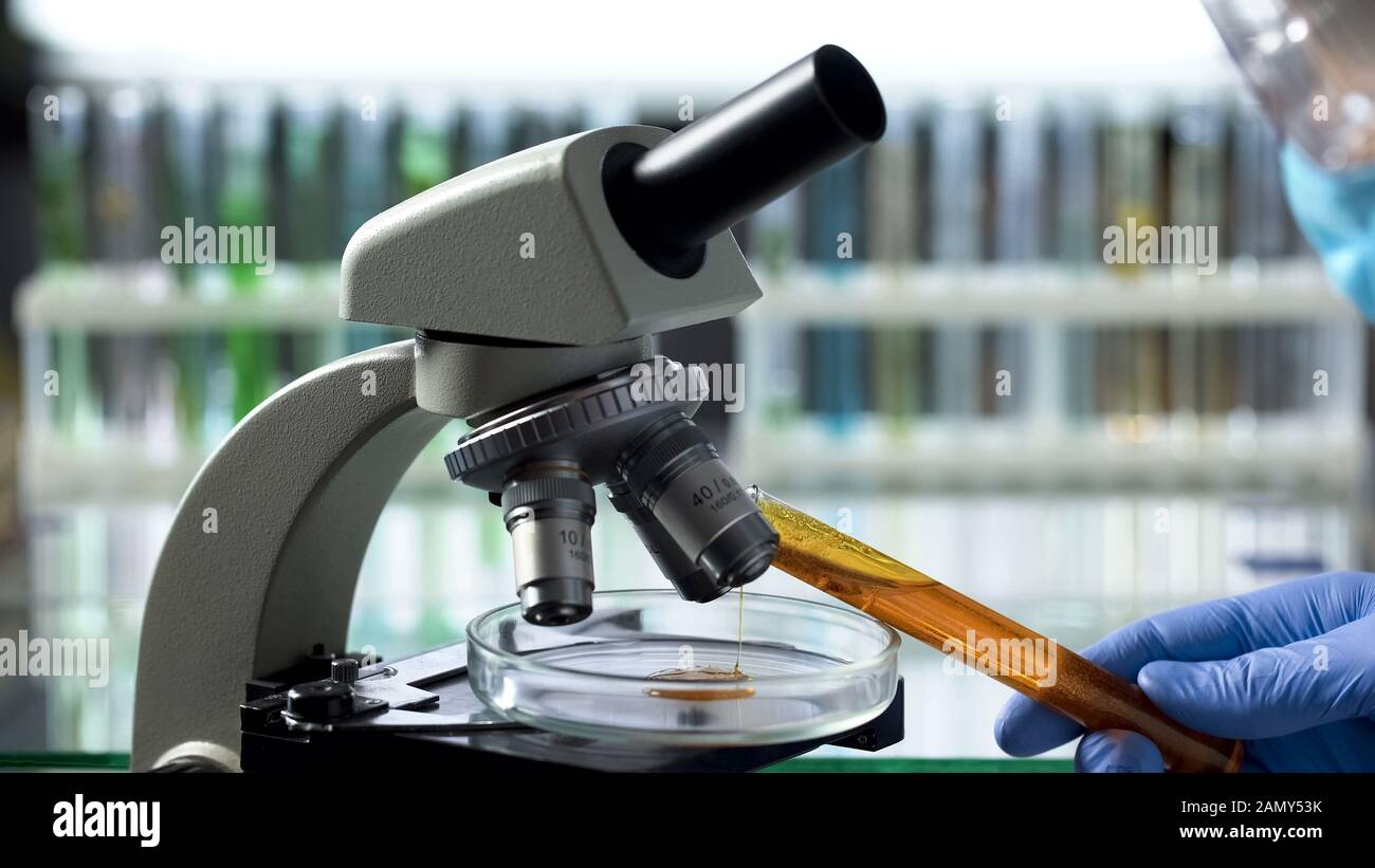 Ingegnere della tecnologia alimentare osservando l'olio di palma al microscopio, controllando la qualità Foto Stock