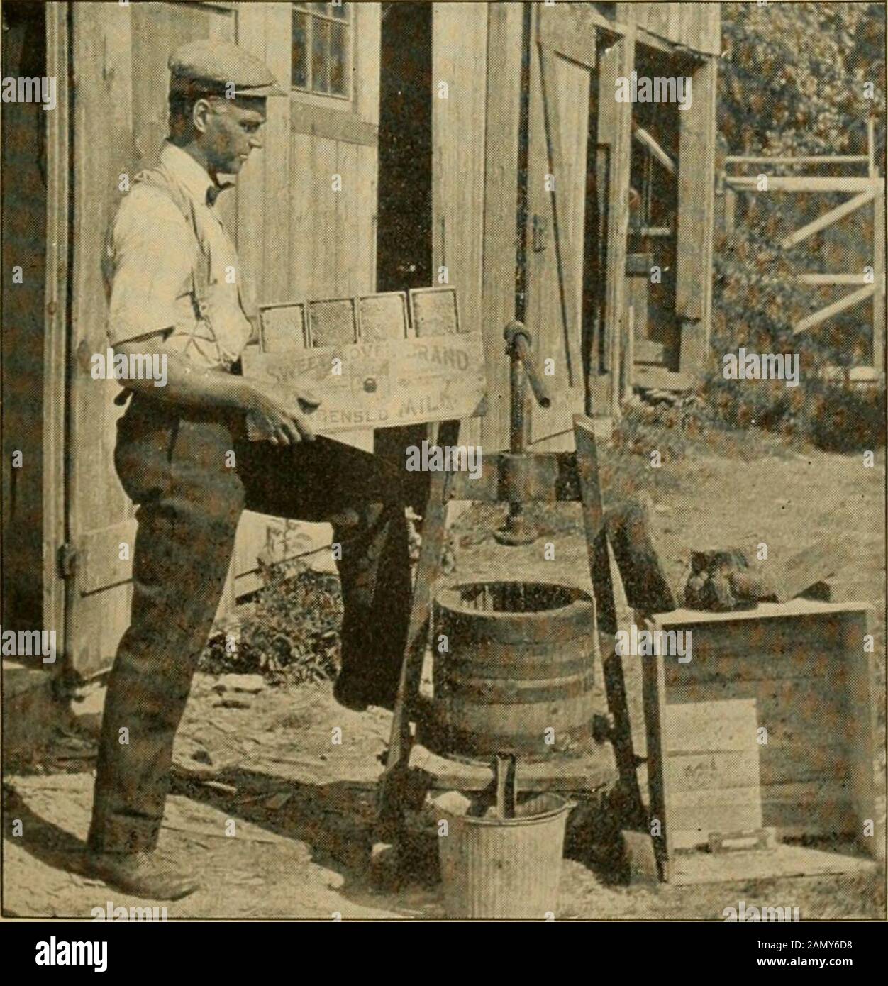 Gleanings nella coltura dell'ape. 1.- CARICO OTHE SNYDEU. FIG. 2. -COMB-MIELE-STORAGEMADE TEMPORANEO DI SCATOLE DI LATTE CONDENSATO. F SWKETCLOVEK HAY NP:AK L'APIARIO OFBEE E HONEY CO., KINGSTON, N. Y. una volta fa una sciame scosso, che depone l'attività di riscaldamento con quella colonia per il theseason. Pensa che sia una cattiva pratica contin-ue che taglia le cellule più di due volte; e se thecolony è extra forte, un taglio è pre-erabile. Consiglia contro sciami scossi, tuttavia, a meno che la colonia sia determinedto sciame, anche se concede che perdona e in determinate località può essere scommesso-ter che il suo piano di cellula-cu Foto Stock