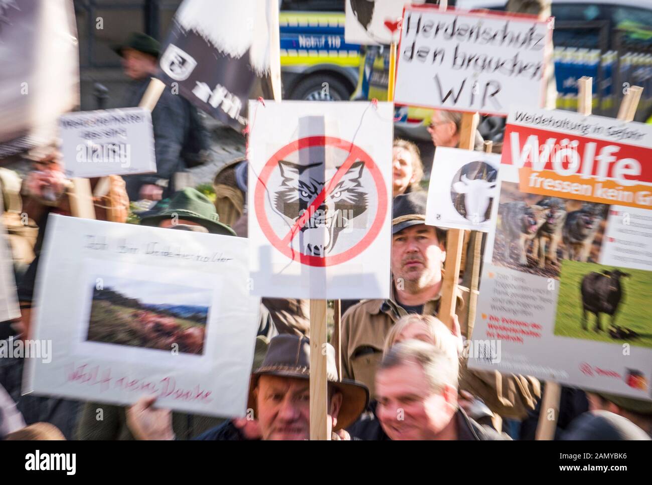 15 gennaio 2020, Hessen, Wiesbaden: Durante una dimostrazione nel centro della città, gli allevatori di animali da pascolo Hessian tengono manifesti contro i lupi con iscrizioni quali: "Wolf no thanks" e "i lupi non mangiano erba". Chiedono una maggiore protezione degli animali dai lupi. Temono attacchi, dopo che ci sono sempre più prove di lupi in Assia. Foto: Frank Rumpenhorst/Dpa Foto Stock