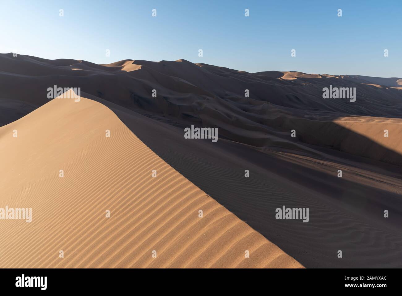 la formazione di trame di sabbia ondulata o modello su una duna di sabbia in dasht e lut o deserto del sahara Foto Stock