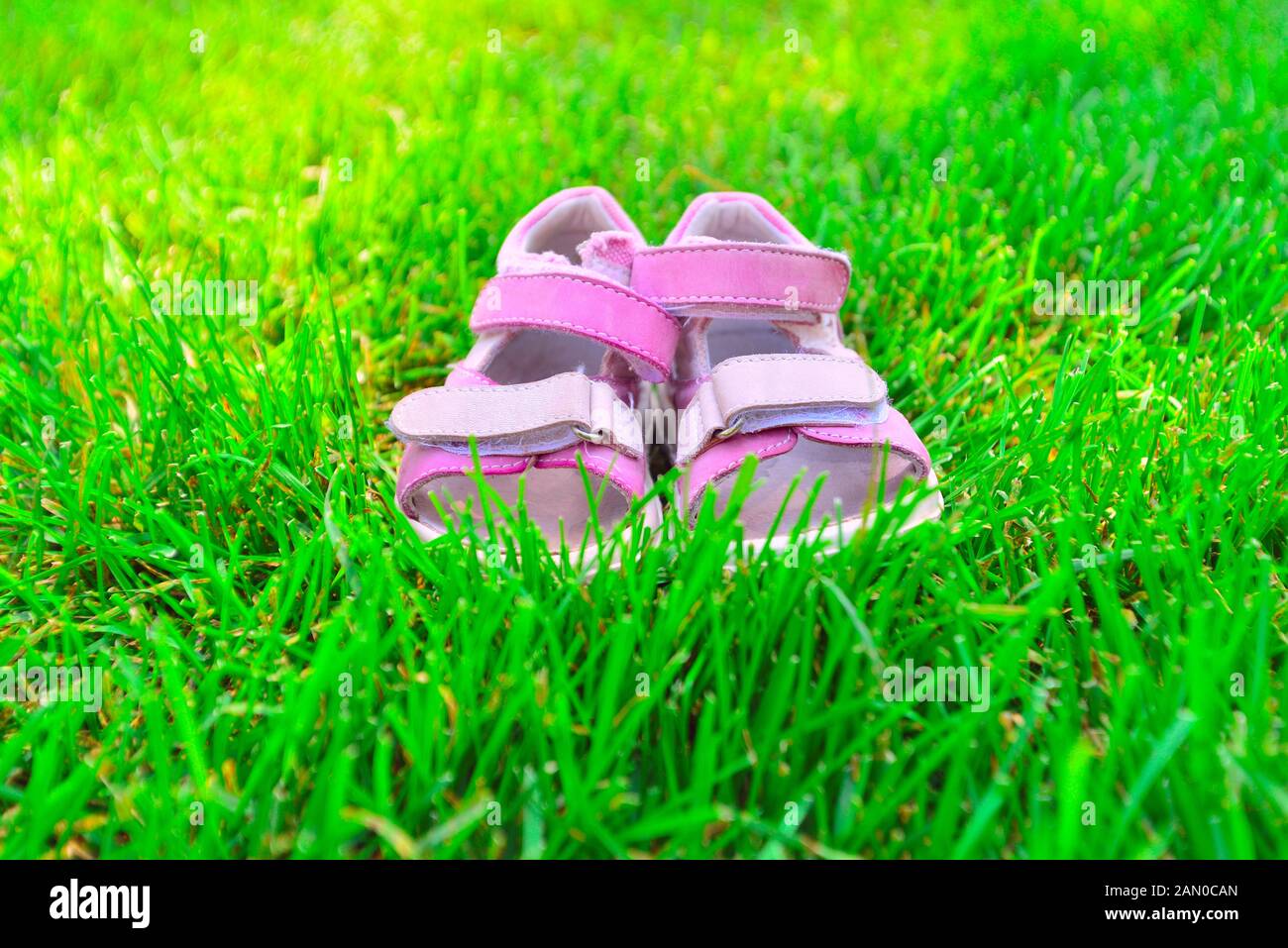 Bambini Rosa's sandali sull'erba verde nel parco. Foto Stock