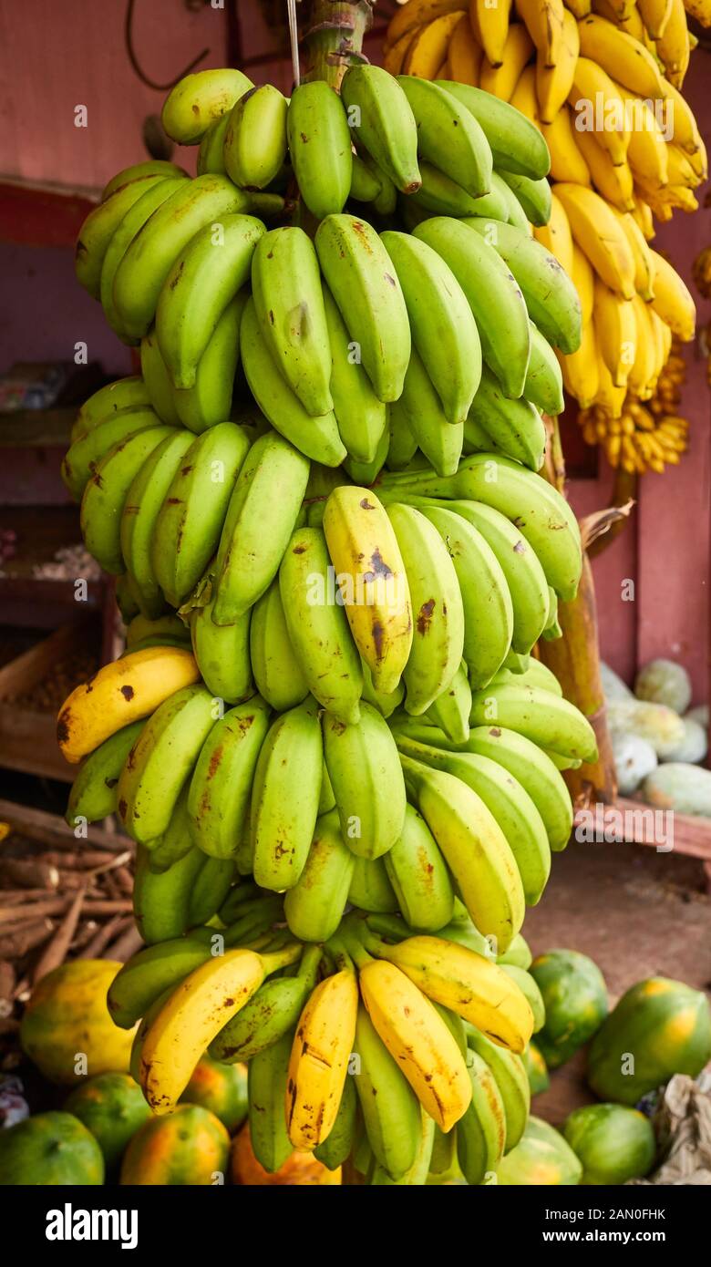 Banana gambo su un mercato locale, Sri Lanka. Foto Stock