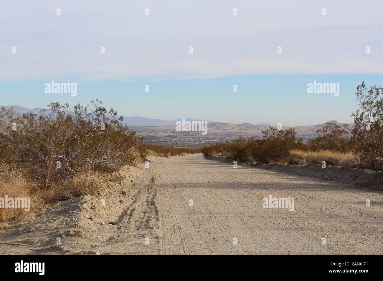 Questa strada sterrata, delimitata dalle comunità di piante autoctone nella fusione di Mojave e Deserti del Colorado, conduce ai terreni Di Mission Creek Preserve. Foto Stock