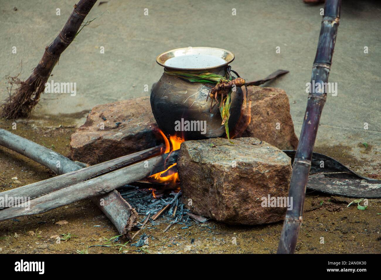 Foto scattata a pongal celebrazione in India del sud Foto Stock