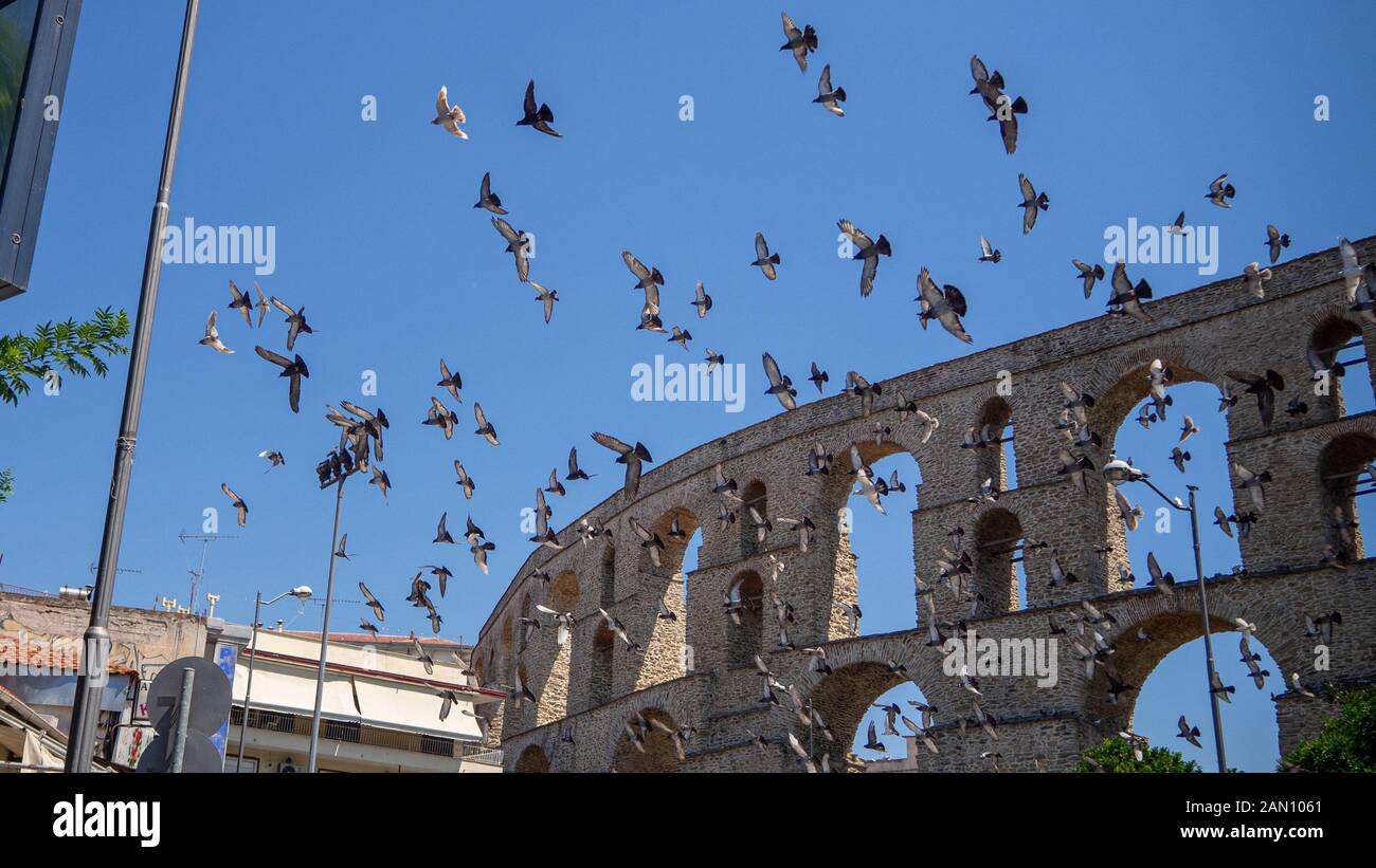 Sciame di piccione di fronte acquedotto Foto Stock