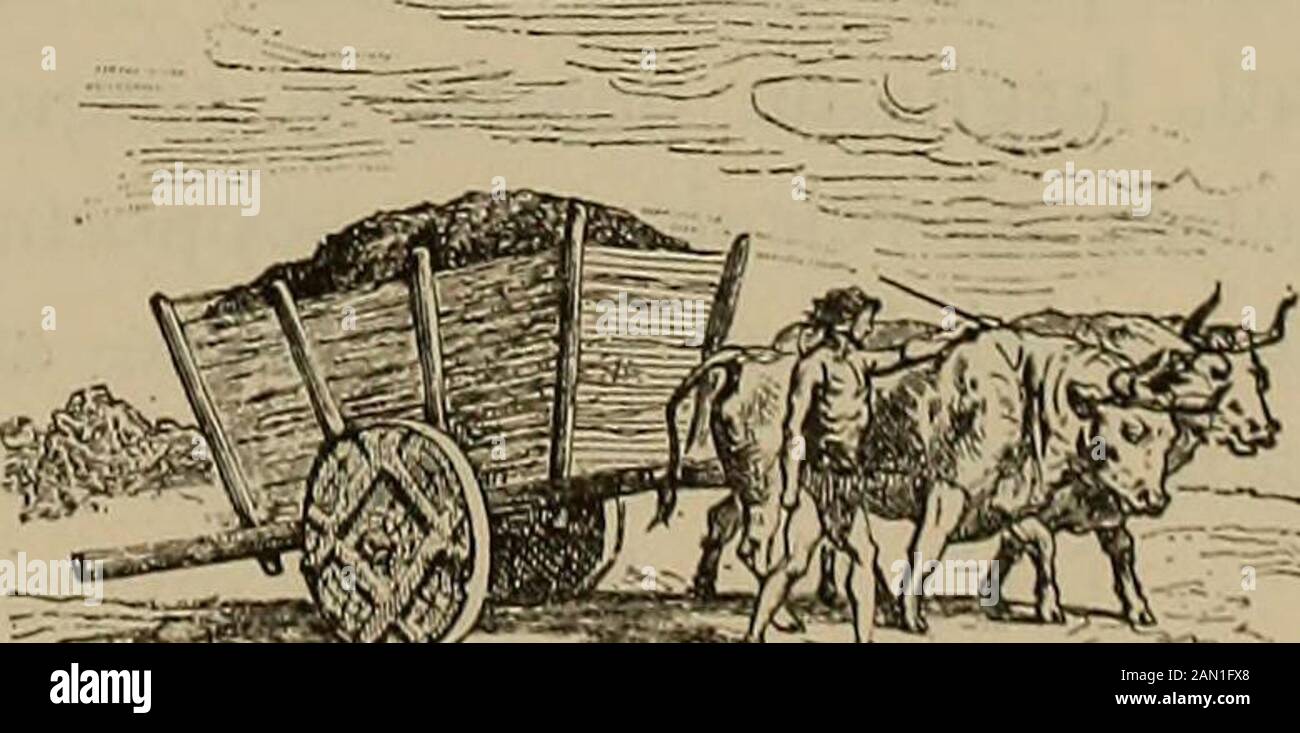 La carrozza nella storia della locomozione . E, alla ruota piena, di un solo pezzo, di legno ferrato, allaruota doggi, leggiera, rivestita di gomma pneumatiche, quantità secolidi doppibi, di difficoltà, di esperimenti; quanto lento, sebbene pro-gressivo svilupo, reso possibile soltanto dal progresso delle strade ! All esposizione universale di Parigi in questo anno la dialzionegenerale del genio civile ha raccolto una interessante e mola riccamostra dei diversi medi di trasporto usati in Francia dal Rinascimentoad oggi ; ma anche senza fermarsi davanti a quella mostra i Foto Stock