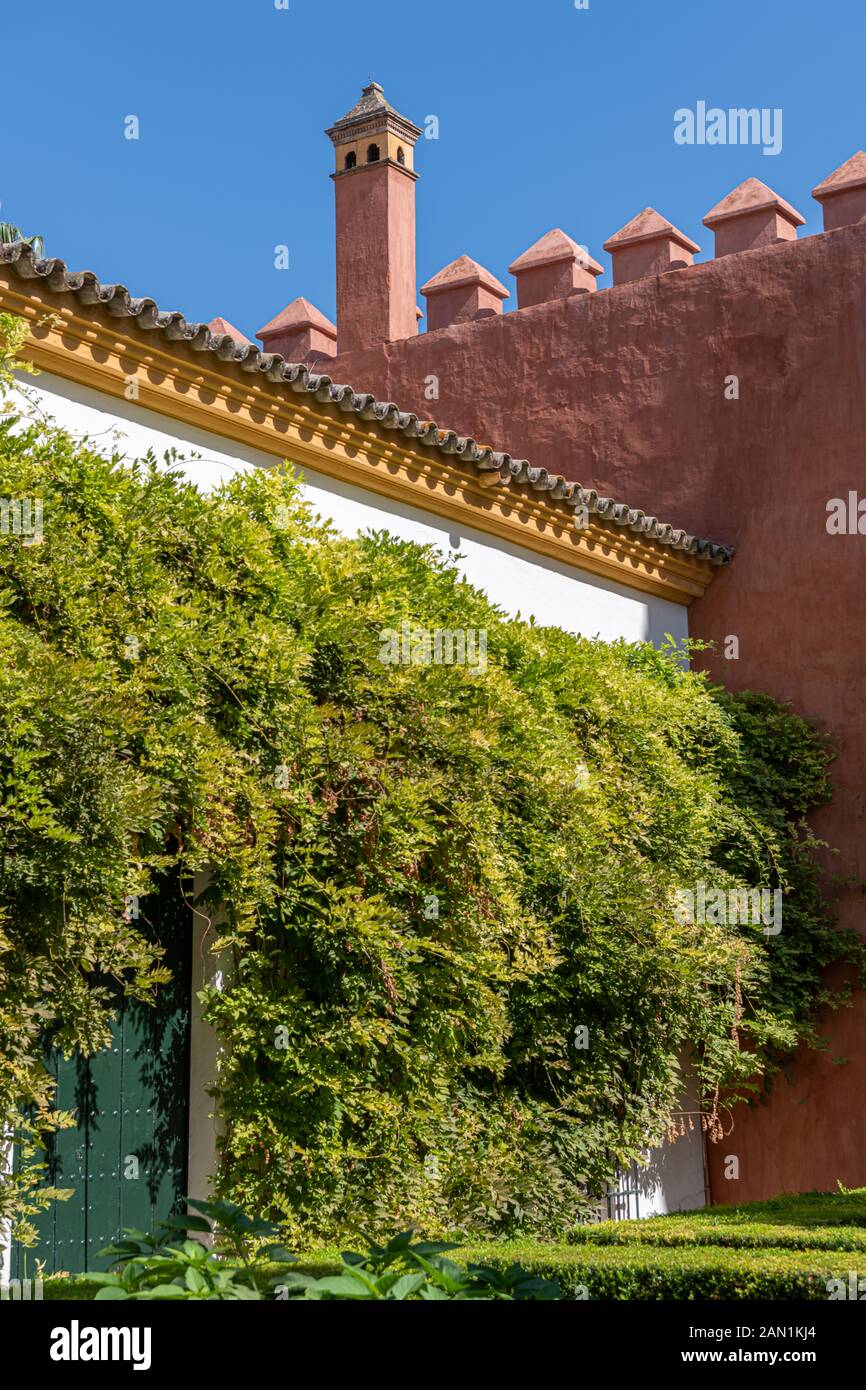 Il verde copre un muro imbiancato in un Jardin del Chorrón (Giardino del torrente) all'interno della Puerta de Marchena nel Palazzo dell'Alcazar Foto Stock