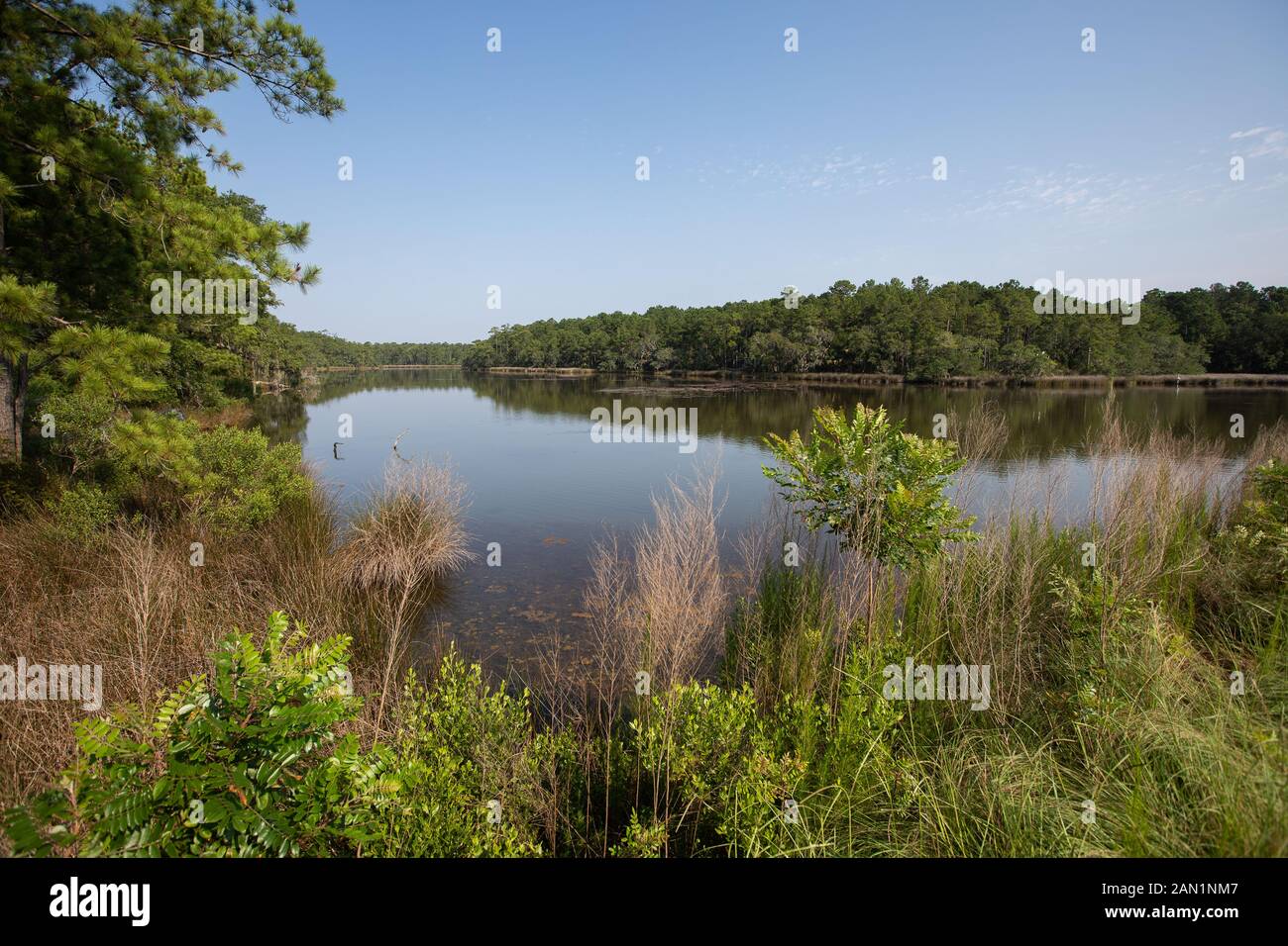 Carolina del Sud Lowcountry marsh scene con stagni di ritenzione per il controllo di allagamento. Foto Stock