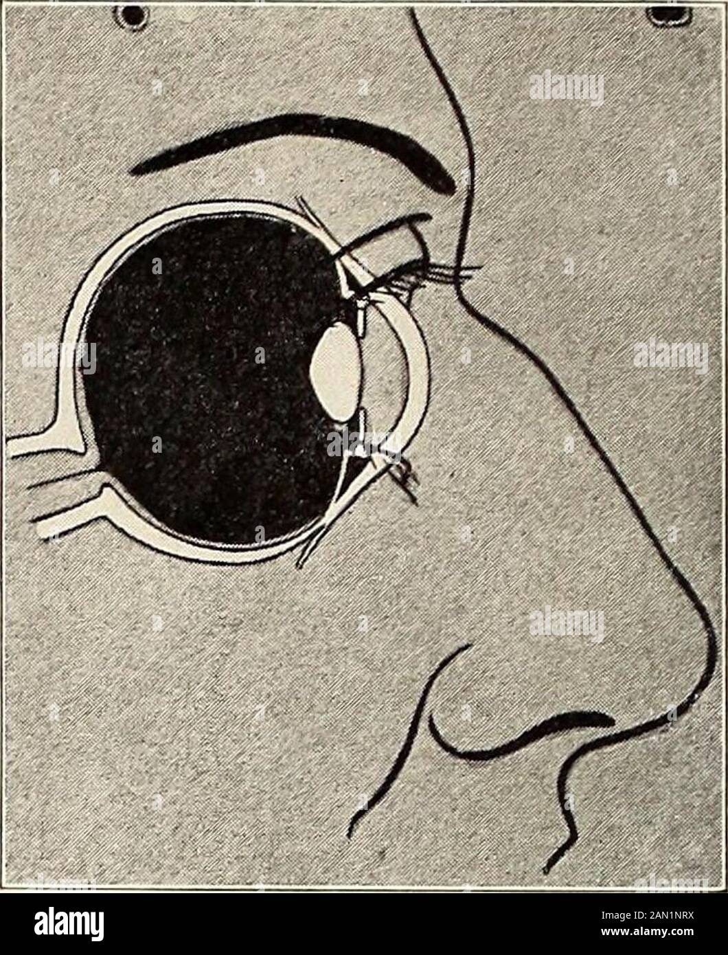 Moving Picture Age (1920) . QUALE?. Avete visto le immagini impressionanti fatte da Bray Studios che mostrano la funzione e il mech-anesimo dell'occhio e dell'orecchio? Tali immagini prendono il drudentery dall'insegnamento. Essi rendono obsoleto il tempo-indossati dicendo, In un orecchio, fuori l'altro. Perché non approfittare del più recente e migliore strumento thetachers: L'immagine del movimento? L'impressione fatta attraverso l'occhio è una dozzina di volte più vivida che attraverso l'orecchio. La foto Themotion stimola l'immaginazione degli alunni, suscita il suo interesse e impressiona l'hismemory. Perché Non Provi Bray Pictures? Chiedete ALLA BRAY PICTURES CORPORATION, la o Foto Stock