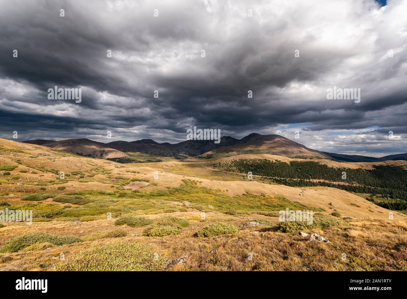 Mount Evans deserto in Colorado Foto Stock