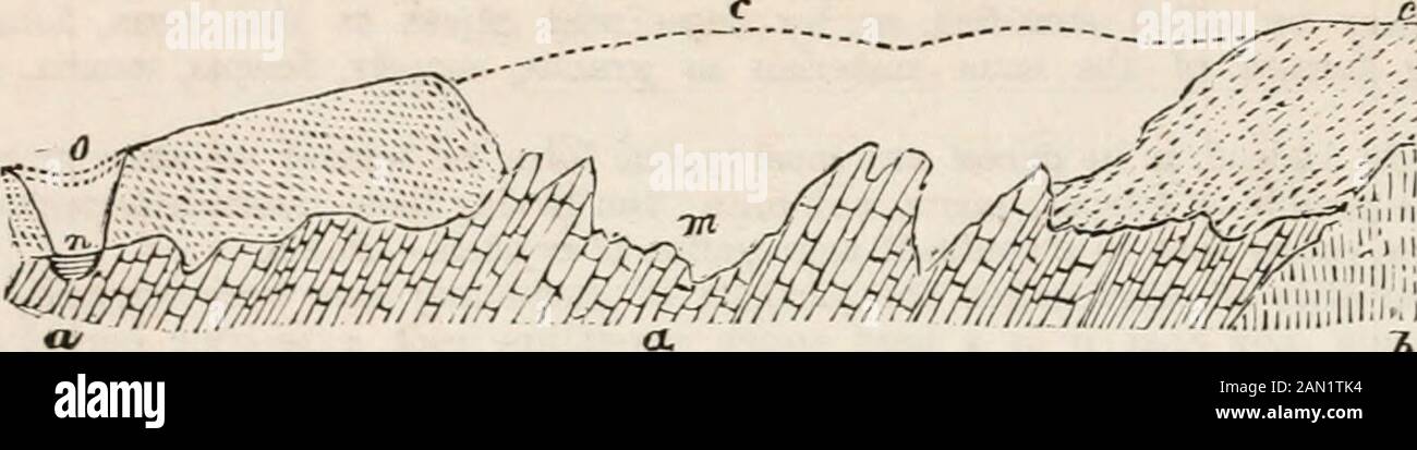 Un supplemento Al Dizionario Delle Arti, Dei Costruttori e delle Miniere, : contenente una chiara esposizione dei loro principi e delle loro pratiche. Oro rne; butle accumulazioni sedimentarie che seguirono, o la Siluriana, Devoniana, e carbonifero, (in particolare il primo di questi tre) sono stati i depositi che, in tratti di tlie in cui il teyhave ha subito una metamorfosi o un cambiamento di struttura f)y l'influenza di agenzia ignea, o altre cause, sono stati i nowws principali, da cui è stato derivato l'oro. Alle miniere di Soimanofsk, a sud di Miask, grandi mucchi di deriva antica o ghiaia sono stati rimossi fo Foto Stock