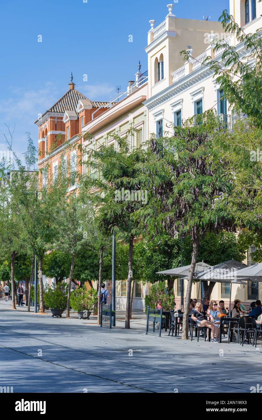 Le persone che beve in un caldo pomeriggio autunnale in una tranquilla Calle San Fernando alberata a Siviglia. Foto Stock