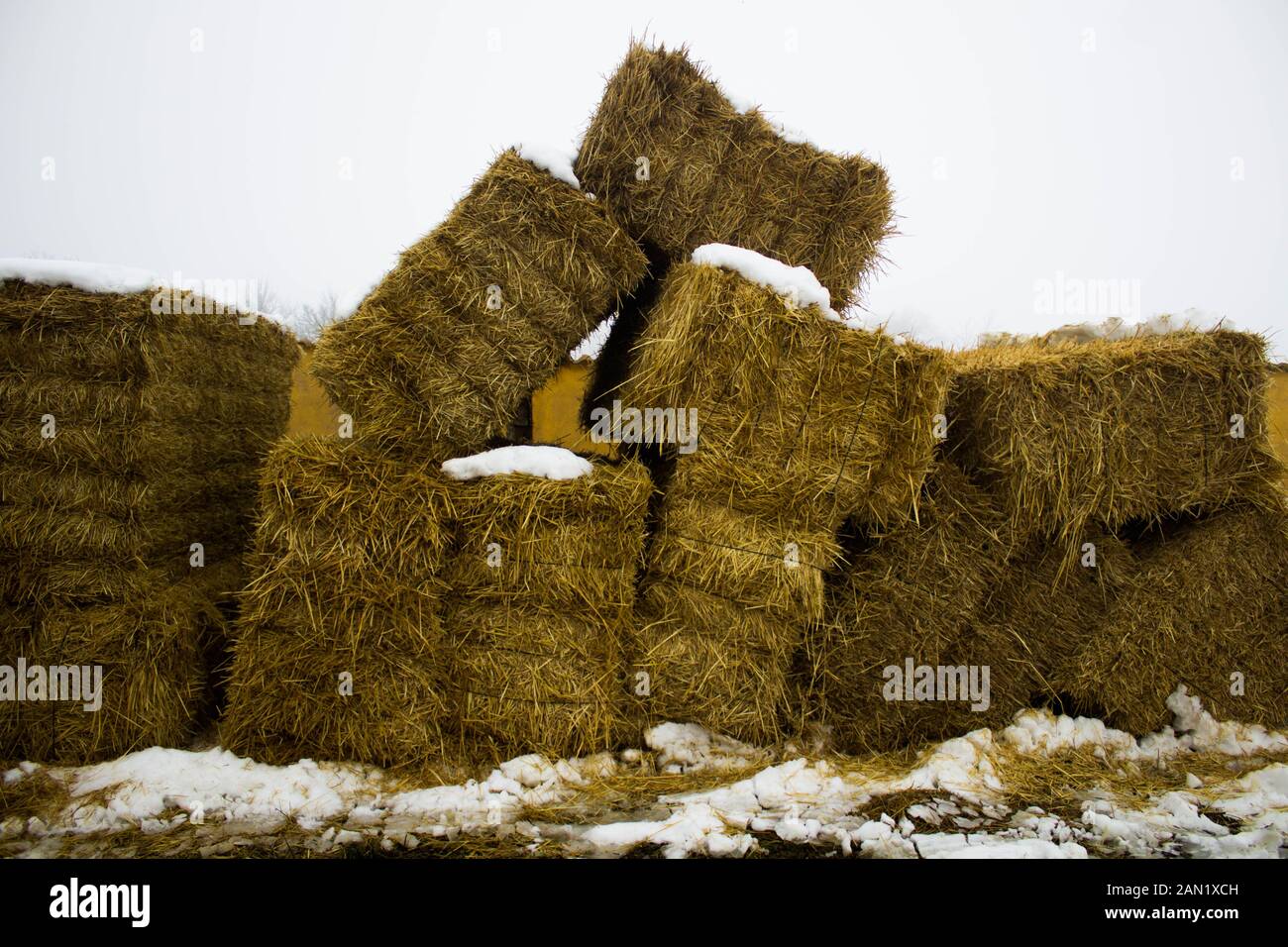 paglia accumulata per cavalli con poca neve Foto Stock