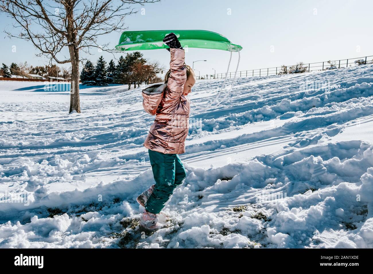 ritratto laterale di giovane ragazza carry slitte su una collina nevosa Foto Stock