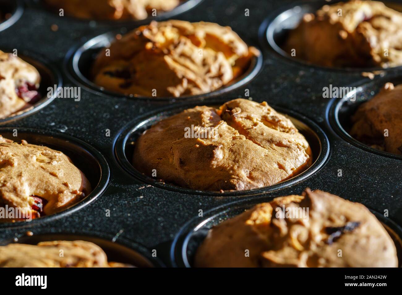 Close-up su delicious vegan vaniglia-cioccolato e ciliegia muffin in un nero teglia per muffin alla luce del sole - vista Diagonale, Orizzontale con orientamento orizzontale Foto Stock