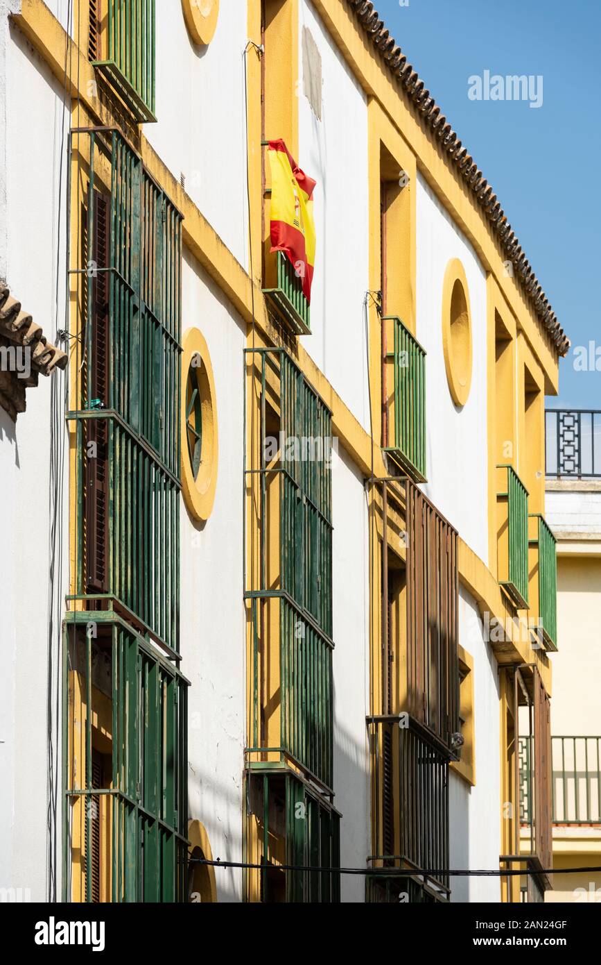 Il sole del primo pomeriggio illumina le griglie verdi luminose che coprono le finestre incorniciate di giallo in un edificio imbiancato in Calle Bustos Tavera, Siviglia Foto Stock