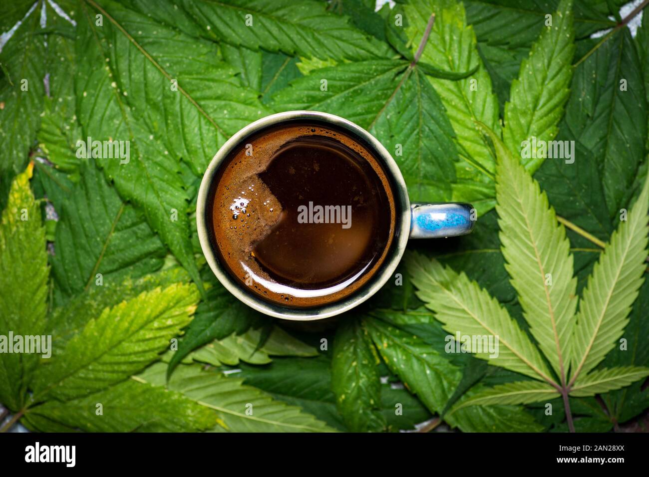 Una tazza di caffè sulla marijuana lascia il motivo di fondo Foto Stock