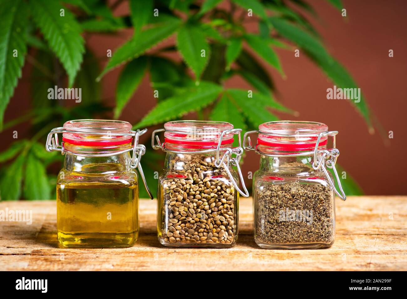 Semi di cannabis grano e olio in vasi su una tavola Foto Stock