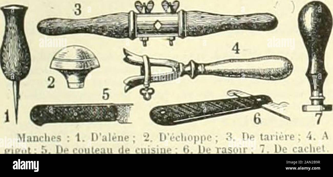 Larousse universale 2 volumi; nouveau dictionnaire enciclopédique publié sous la direction de Claude Augé . Mancenillier.. Mane gigot;! analogico, stuoie più petite, quon fixe à los des côtelettes pour les servir un tavolo. Fia. Branler au man-che ou dans le manche, être menacé dans sa posizione, ses intérêts. Jeter le manche après la cognée, v. cognke. Se metro du côté du manche, se mettredu côté du Plus Fort. Manche de couteau, solen. Sortede coquillage. Arpt. Manica à balai, levier placédevant le pilote et qui lui permet de manœuvrer legouvernail de profondeur ou dagir sur le gauchissèment des Foto Stock