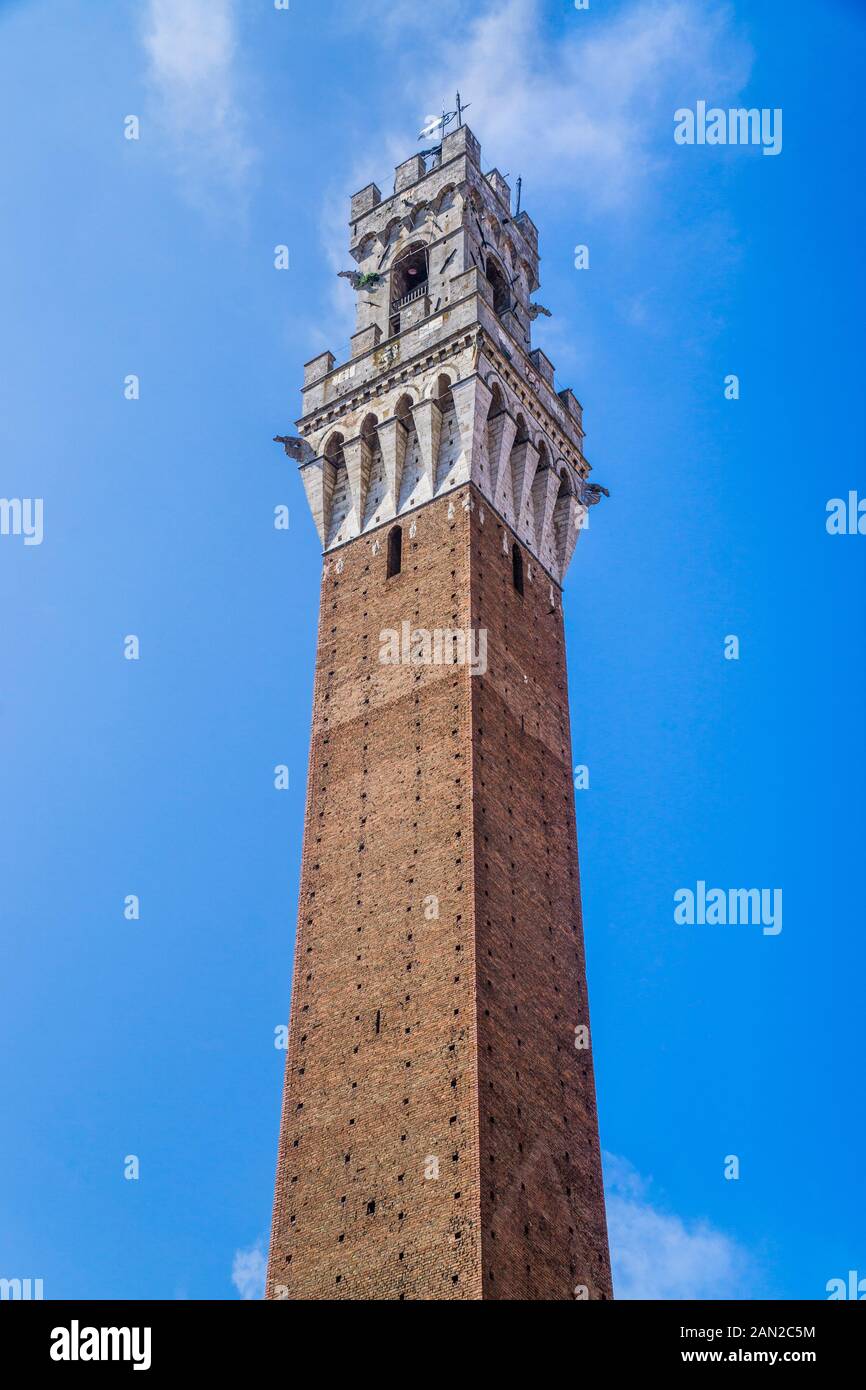 Torre del Mangia sovrasta il Palazzo pubblico di Siena, Toscana, Italia Foto Stock
