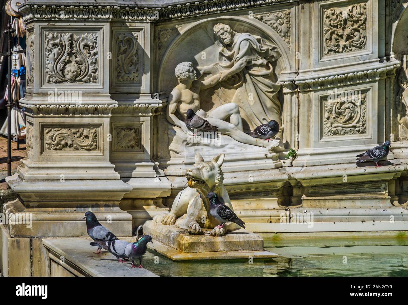 I Pidgeons popolano la monumentale Fontana Gaia a Piazza del campo di Siena, con i rilievi e le statue dell'Antico Testamento come "La Creazione di Adamo", Siena, T. Foto Stock