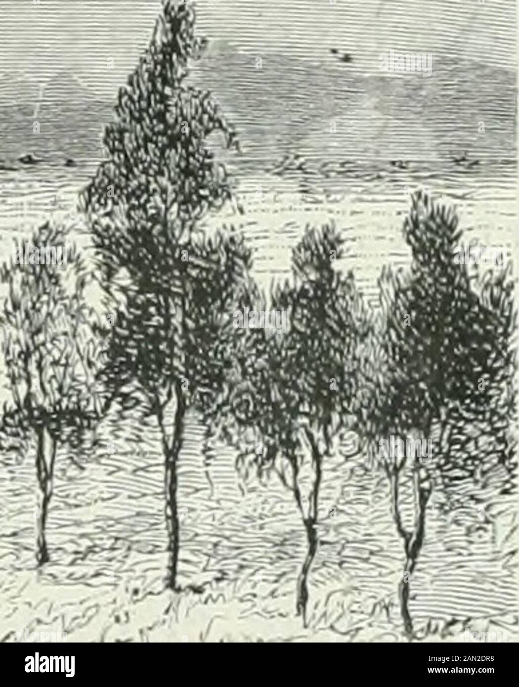 América pintoresca; descripcion de viajes al nuevo continentale por los mas modernos experadores . -^. -^-ÍÍl. Foto Stock