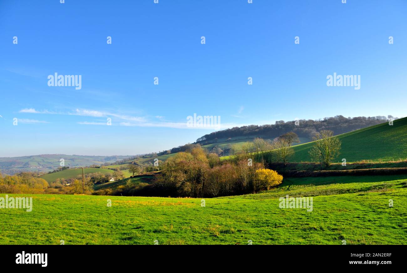 Paesaggio collinare verde in campagna Devon Foto Stock