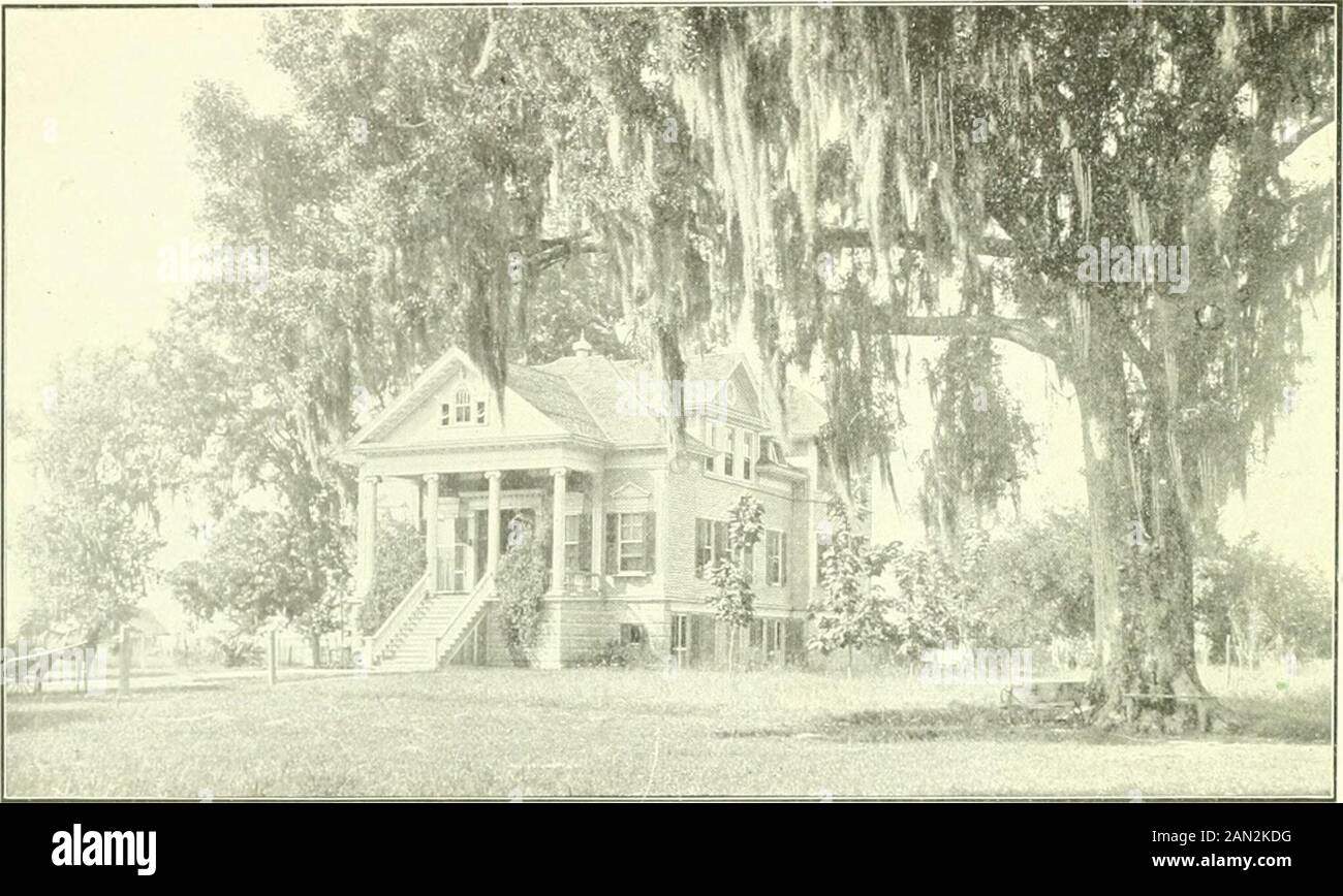 Un manuale della Louisiana, che offre caratteristiche generali e agricole . FIORIERE DI ZUCCHERO DELLA LOUISIANA HOME PROCESSO DI DIFFUSIONE DEL TACTORY DI ZUCCHERO DELLA BATON ROUGE XV RESIDENZA DI JNO T MOORE DELLA PARROCCHIA DI TERREBONNE XVI CORSI NAVIGABILI. Di seguito è riportato un elenco delle acque navigabili dello Stato: MSTREAMS NA Amite fiume Atchafalaya . Barataria Bayou .. Bartholemew Bayou., Lago Di Bistreau Fiume Nero Bodeau Lago Boeuf Fiume Boeuf Fiume Bayou Calcasieu Fiume Cane *Lago Di Courtableu Bayou . . DArbonne Bayou ,. DeGlaise Bayou Delarg^e Bayou Dorchite Bayou Forks of Calcasieu.. Grand Caillou Bayou Lafourche Foto Stock