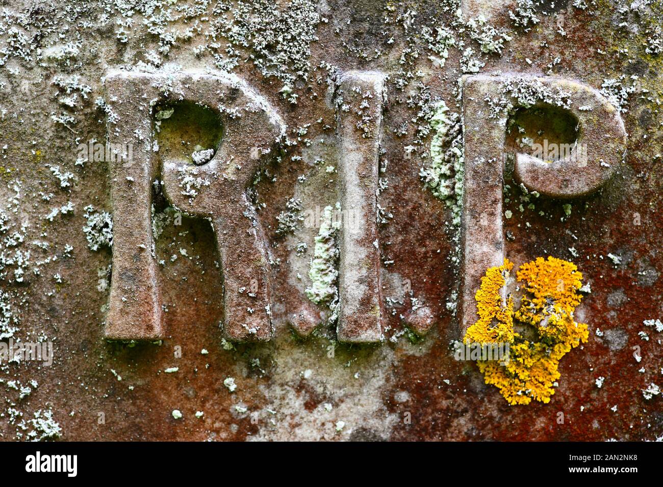 Dettaglio del RIP (Riposo in pace) scultura e licheni su vecchia lapide nel cimitero della vecchia chiesa parrocchiale di San Pietro, Pembury, Kent, Inghilterra Foto Stock