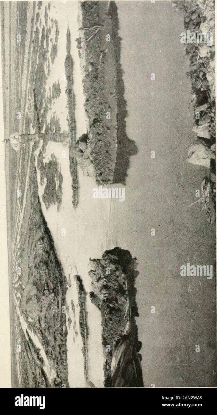 La mistica metà regione, i deserti del sud-ovest . ione può essere raggiunto nel centro del basinnoto come il Salton Sink. Capitolo XVII LA FINE DEL DESERTO nPHERE deve essere, ci è stato detto, una fine a^ tutto, e l'inizio della fine del deserto è a portata di mano, Aheady due hun-dred mille acri del grande ColoradoDesert è stato preso da esso e placedwith l'acreage produttivo dello Stato. Questo è solo una frazione, certo, della vastità della terra arida nello Stato e ma aboutone cinquecentesima parte della zona arida negli Stati Uniti, ma è un inizio, e quando è contro Foto Stock
