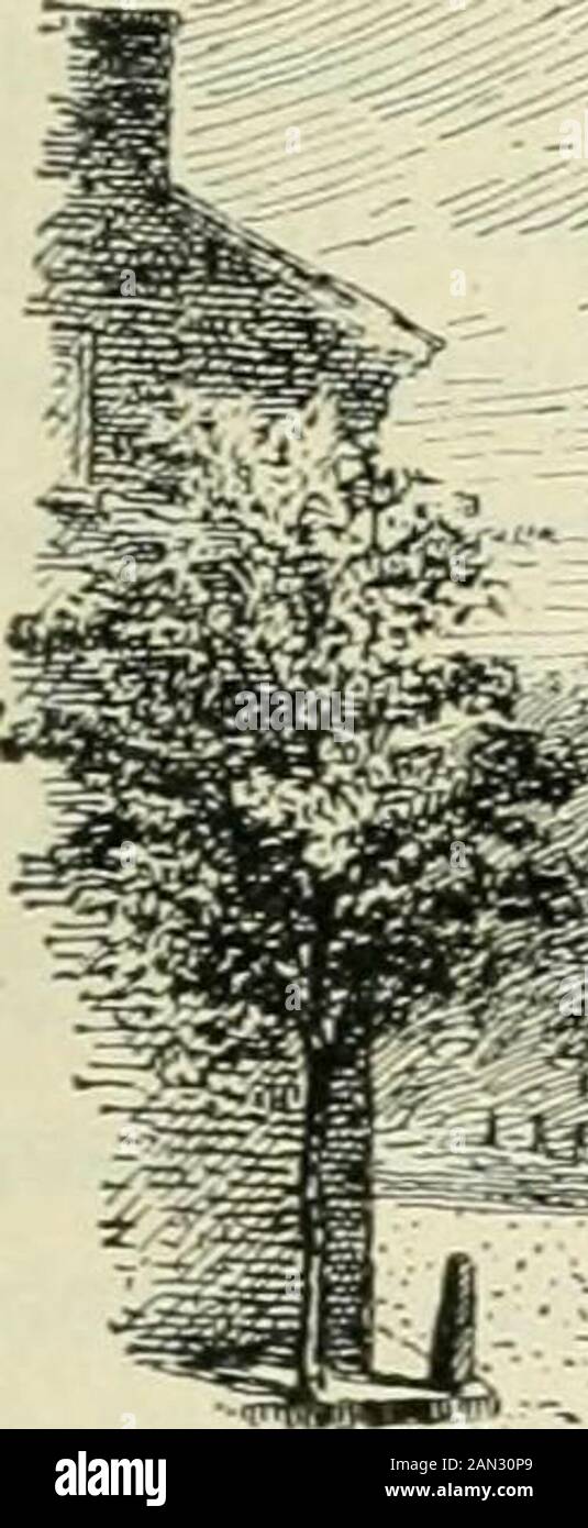 La nazione britannica una storia / di George MWrong . Georok Washington (1732-1?99). ^ ^ ^ l'era DELLA RIVOLUZIONE AMERICANA 471 recuperare Minorca e Gibilterra; Olanda per controllare la Brigirargance in alto mare. Né la Gran Bretagna era herselfat uno, per i Whigs ha sostenuto che le colonie erano nel. Foto Stock