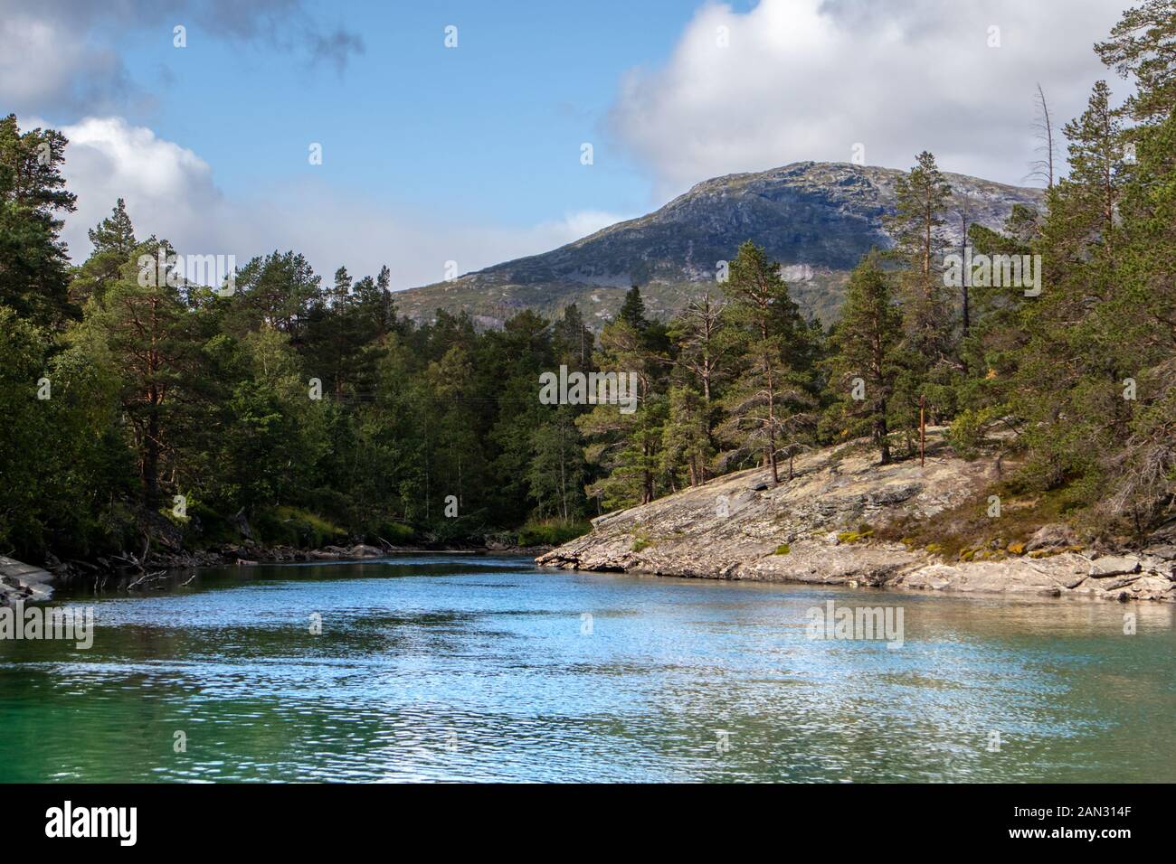 Giornata di sole dal freddo spumeggiante fiume nella foresta di pini montagne della Norvegia. Sfondo naturale con cielo blu e nuvole Foto Stock