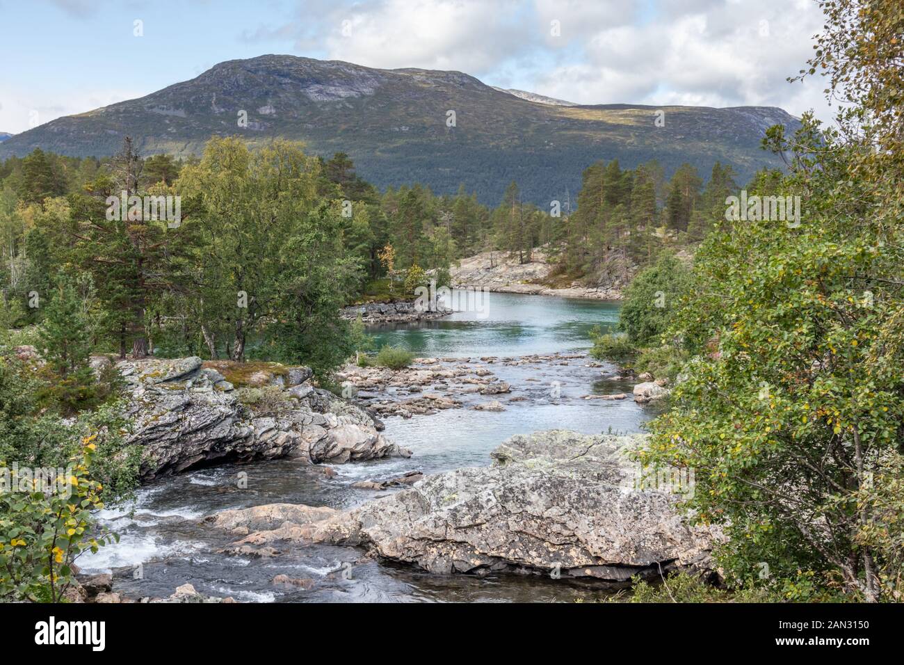 Giornata di sole dal freddo spumeggiante fiume nella foresta di pini montagne della Norvegia. Sfondo naturale con cielo blu e nuvole Foto Stock