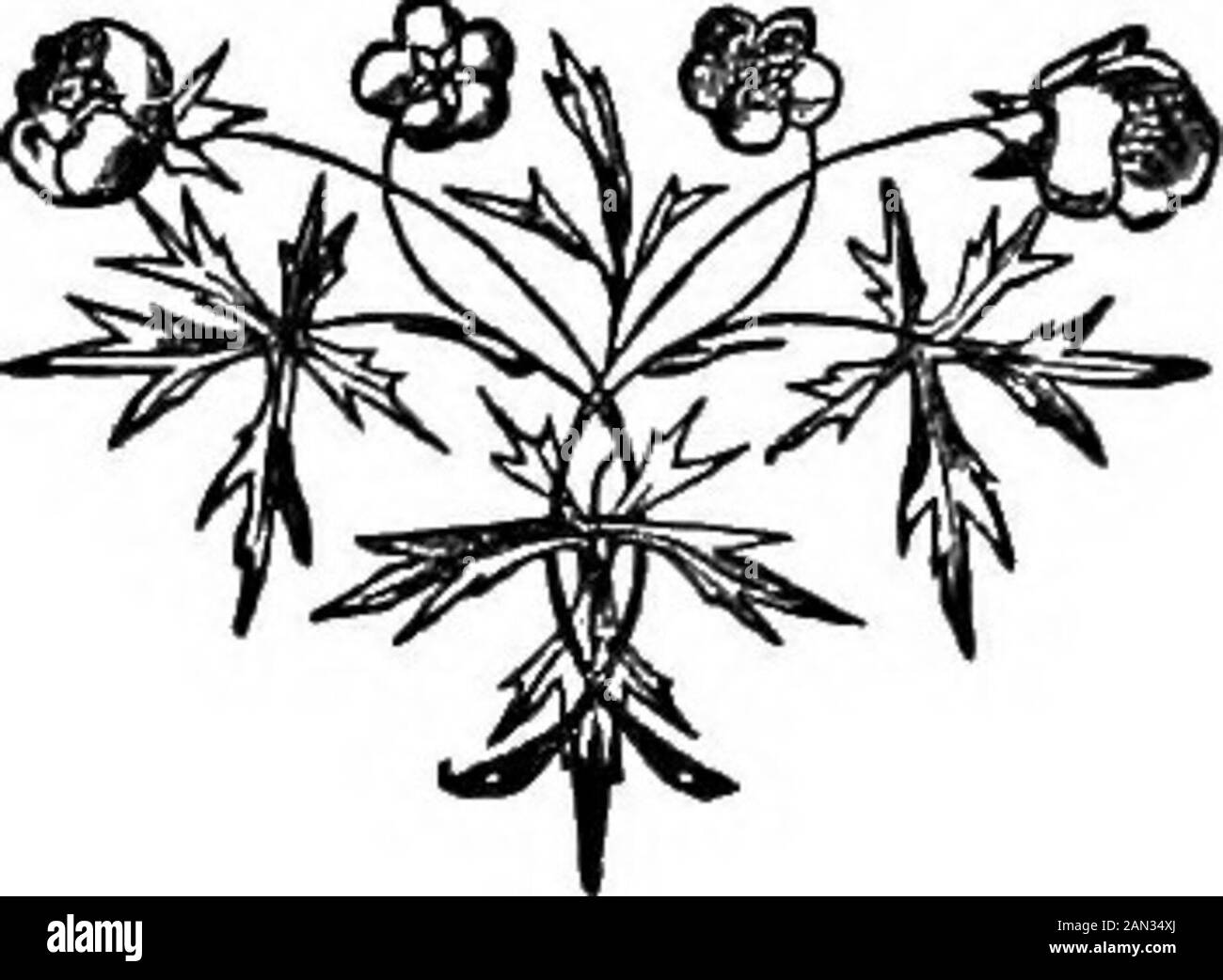Kentish lyrics, sacred, Rural, and Miscellaneous; . aves, for evening is come,- E il sole dora l'hrow della collina lontana, Gloriously affondando •E sembra squisitamente ancora, Come se tutta La Creazione fosse thinkingWhy angeli sono più felici degli uomini, E se il millennio sta venendo, e quando ! Mezzo giù la scogliera è una spina nera in fiore, Respirando i relativi odori sull'aria;E una piccola copra di scopa gialla, Che Si Illumina in fiori gialli fair.A nightingale su ciascuno sta cantando, Uno che risponde agli altri canzone, E la loro armonia sta suonando la scogliera e vale along.Was mai canzone così morbida e commovente, O amanti ha Foto Stock