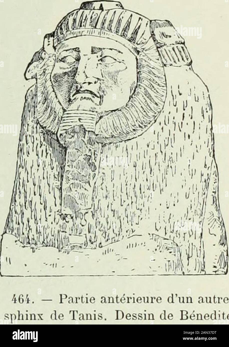 Histoire de l'art dans l'antiquité: Égypte, Assirie, Perse, Asie Mineure, Grece, Etrurie, Rome . décrire les Plus importantes des figuresà propos desquelles sest posé le pro-blème et den faire ressortir lorigina-lité. Le Plus important et le mieux con-servé de tous ces monumenti esl unsphinx de granit noir, dont les fragmentsont été ramassés dans les décombres dupreside tempio de Tanis (fig. 463). Trois autres sfinx de même modèle, mais più mutilés, ont été décou-verts en même temps ; nous donnons la partie antérieure de lun dentreeux (fig. 464). « il y a loin, dit Mariette, de la puissant Foto Stock