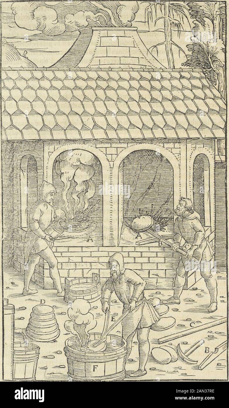 Georgii agricole De re metallica : libri XIIQuibus officia, strumententa, machinae, ac omnia deni[que] ad metallicam spectantia, non modo lupulentissimè describuntur, sed & per effigies, suis locis infertas, adiunctis latinis, germanicis [que] appellationbus ita ocutur unint lout sexus; Eiusdem De animantibus subterraneis liber, . antin catinum,diffipetur, eas interdu abfter*gat:fed fingolis hebdomadis florem aeris ex labro aquis effufis eximat:in icTenim de panibus,creftinguunttur,decidit.Porrd Folies,quibus maoitur,Irbitumetur,Irbiterabuteutisetur,Irbitumetis,Irbitumeutenabutetur Foto Stock