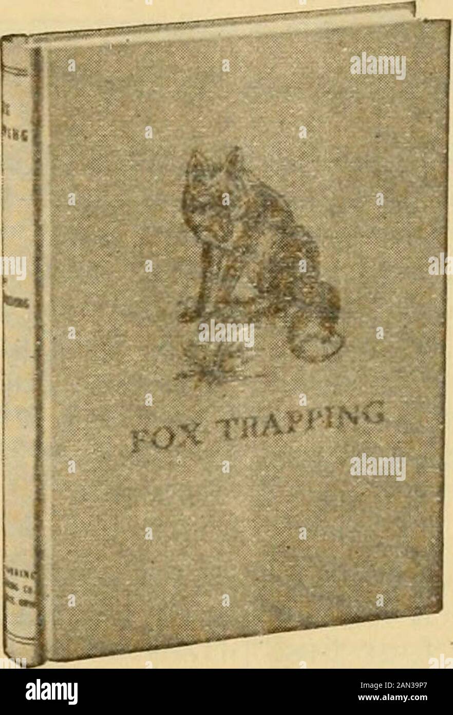 Gleanings nella coltura dell'ape. AbleBook per Trapps. . Questo libro è editato da una. Harding, of theHunter - Trader - Trapper, contiene circa cinquanta illus-trations e quasi 200pages, ed è diviso intotwenty capitoli come fol-lows: I. informazioni generali. II Mink E Le Loro Abitudini. III. Taglia e cura delle pelli. IV. Esche buone E Durature. Esca e Profumo. VI Luoghi Da Impostare. VII Metodi Indiani. VIII Mink Che Intrappola sulle Prairies. IX. Metodi Del Sud. X. Metodi del Nord. XI Modi Insoliti. XII Metodi Dei Trappers Dell'Illinois. XIII. Percorsi Trapers Esperti. XIV. Molti Buoni Metodi.Xv Set Di Sale. XVI. Lo Foto Stock