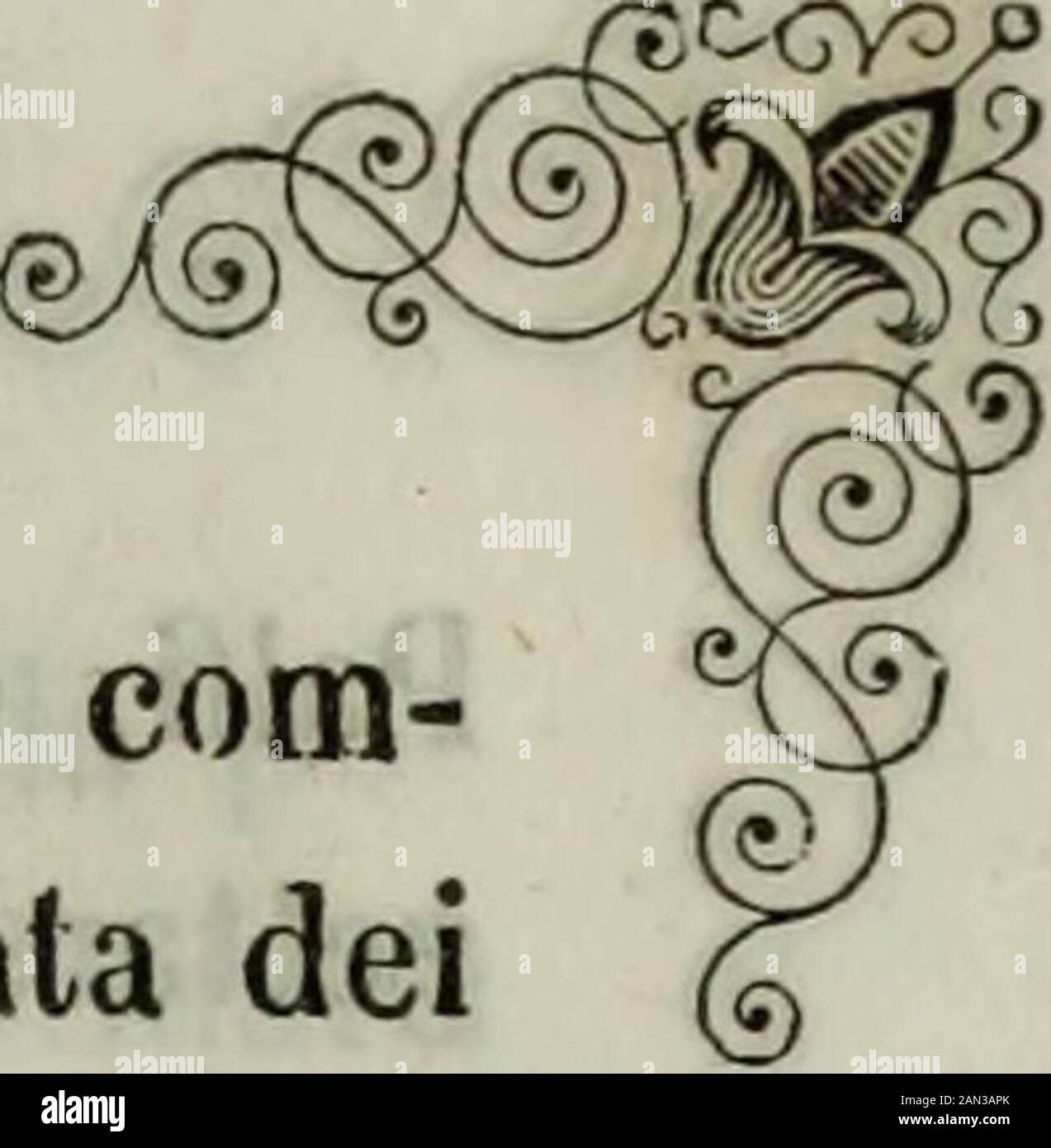 Storia di Castiglione delle Stiviere sotto il dominio dei Gonzaga . I . berrimo giureconsulto mantovano Antonio Gobbio com-pilò una scrrittura legale a favore dei sudditi, in data dei15 luglio 1694, che si riva stampata nelle sue opere;e ne scriptse altra più voluminosa a favore del principepeun giureto consultanonimo. Temendosi che a Castiglione si potessero eccitaruove sollevazioni, vi si mandarono verso i primi dimeggio diverse compagnie di trabpa tedesca, cui coman-dava il generale Carlo pala* residente a Mantova. Un queimilitari fu dato alloggiamento nelle case dei privati, e laMunicipal Foto Stock