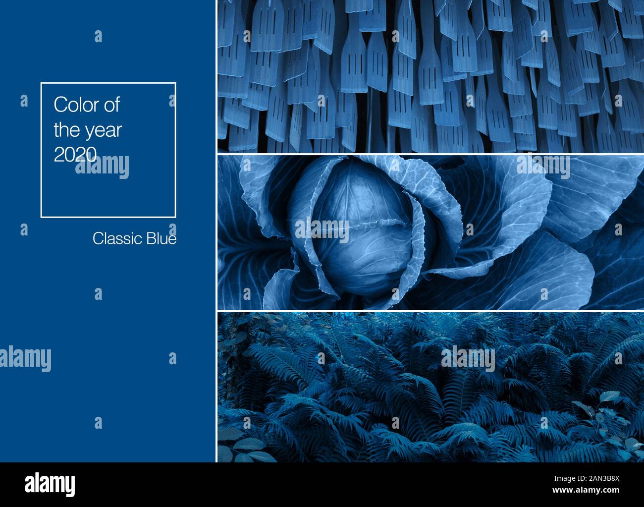 Colore blu floreale naturale fern background. Belle foglie di felce sfondo Foto Stock
