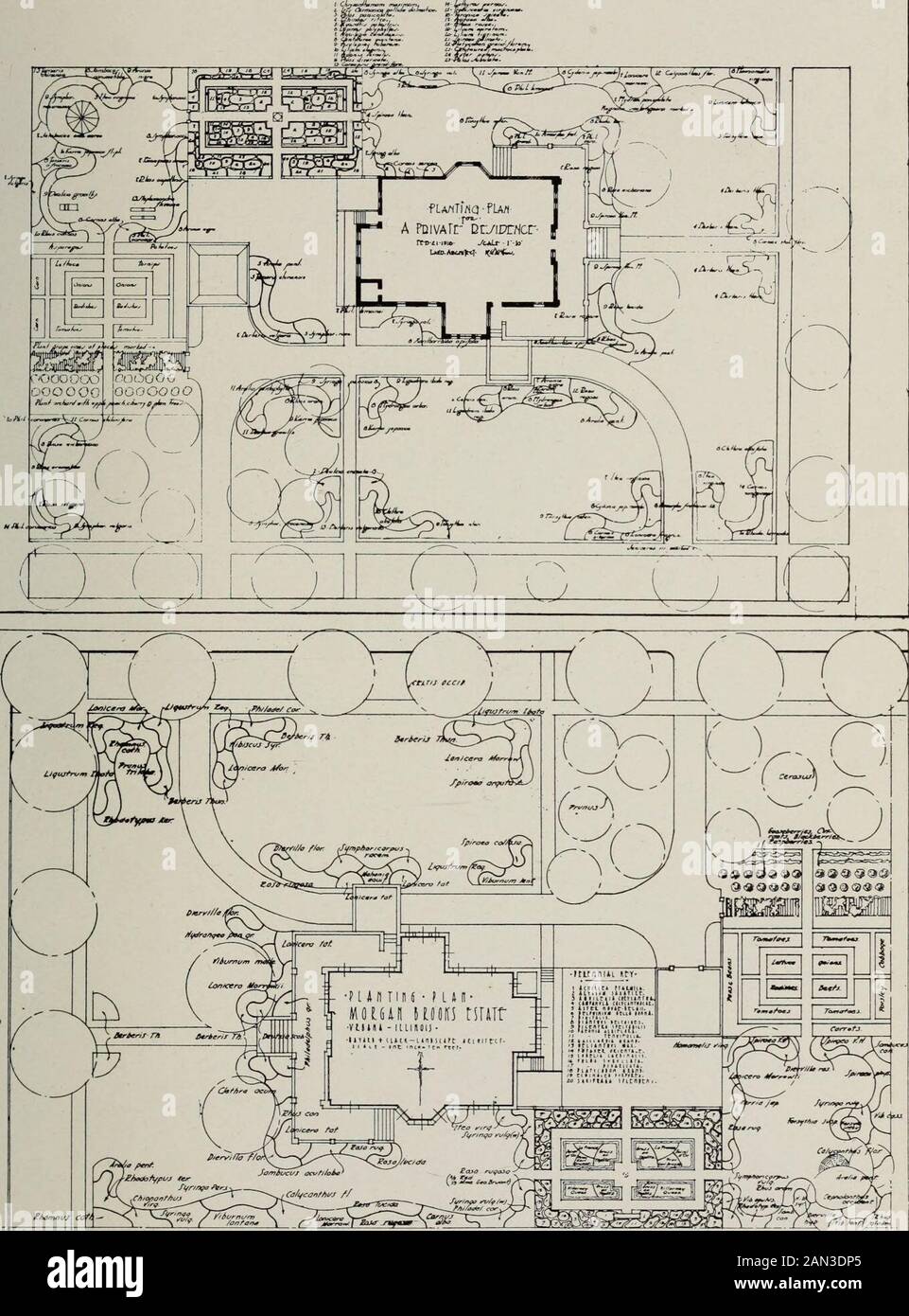 Il Reptoniano Del 1917: Una pubblicazione annuale rappresentativa del lavoro nel corso professionale di giardinaggio paesaggistico presso l'Università dell'Illinois. Disposizione può essere fatta bene in questo tipo di impianto per un effetto invernale, in modo che tutto l'interesse nella piantagione può notdie fuori con il passaggio della stagione di fioritura, e il luogo poi apparì nudo e brutto. Un altro fattore importante nella piantatura di piccoli homegrounds è la conservazione di una linea di cielo adeguata. Il mantenimento della scala plantingin è un problema che è spesso trascurato dal dilettante perché è easyto dimenticare che arbusti, anche se piccolo quando Foto Stock