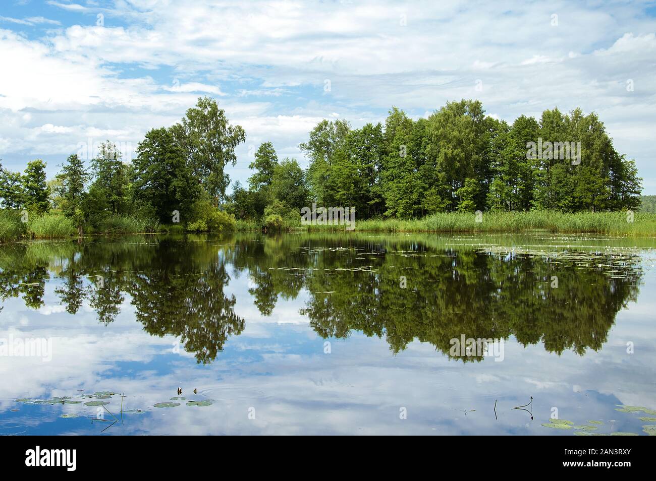 Simmetria. Riflessione simmetrica di alberi in acqua in estate. Il verde degli alberi e il blu del cielo Foto Stock