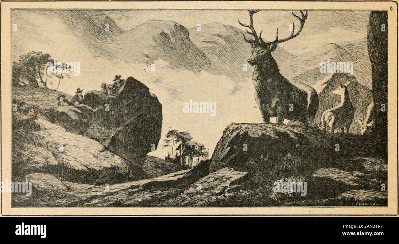 English Review . L'adulazione DEGLI APPASSIONATI DI ANTIQUARIATO per bygonetimes vi dirà che nothingnew può essere buono o vero; in modo che l'infurniture, per esempio, Ouecn Anneor Louis Ouinze (o per quella materia, Rameses) deve essere buono, mentre a-giorni George il quinto furureMUST essere cattivo. L'occhio vivo discernerà la bellezza, l'appropriatezza e la costruzione di craftsmanlikeconstruzione e la lavorazione del Guarito mobili Dipinti, i cui somepeces sono mostrati sopra. Heal & Son t^ TOTTENHAM COURT ROADW XIV The English Review Advertiser CONTENTS (continua) 6. C. MARCHIO NEVILLE 7. RICHARD ALDINGTON 8. GIUDIZIO 9. A. E. KEMBLE 1 Foto Stock