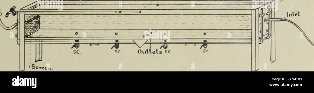 La relazione dei pesci con gli ioni nei loro ambienti naturali . r»»a-tlon Experiments werer*»rfori>».1. T> r l'acqua fluiva All'Ingresso di ogni estremità, veniva distruita dal raccordo a T in ottone (D, deviato lentamente fino al nlddle, diffondendo ^rosaMTSwhat, e fuori attraverso le uscite. Il* quarto f 1 ha dovuto fuori attraverso -.i>>dei due punti all'attore e uno *»lr:hth attraverso ciascuno dei quattro atthe hotto™. L'experir-ertiil ix^tor era . per pioggia, ha dato un Plowirto serbatoio, di 50 s.c. per mil., e il leai*-ed o-^ei.tratior:. L'acqua di Tapwater o modificata ad un grado differente fluiva nell'o Foto Stock