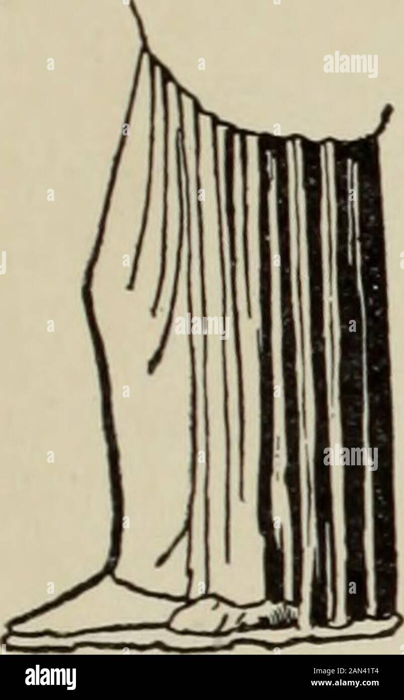 L'antica danza greca, dopo figure scolpite e dipinte . Fig. 21. Fig. 22. Questi gruppi possono essere paragonati a certi gruppi sui vasi con figure dipinte di nero del periodo del VI secolo B. C. un gran numero di vasi figurati di nero sono ornati da cortei in cui Hermes o Apollo prendono parte. Il dio che conduce è seguito da donne che sono raggruppate in modi diversi. I gesti sono quasi sempre simmetrici; i profili, dalla testa ai piedi, sono paralleli, i piedi di ogni figura che si aggettano oltre quelli della figura precedente. Così il pittore indicò un gran numero Foto Stock