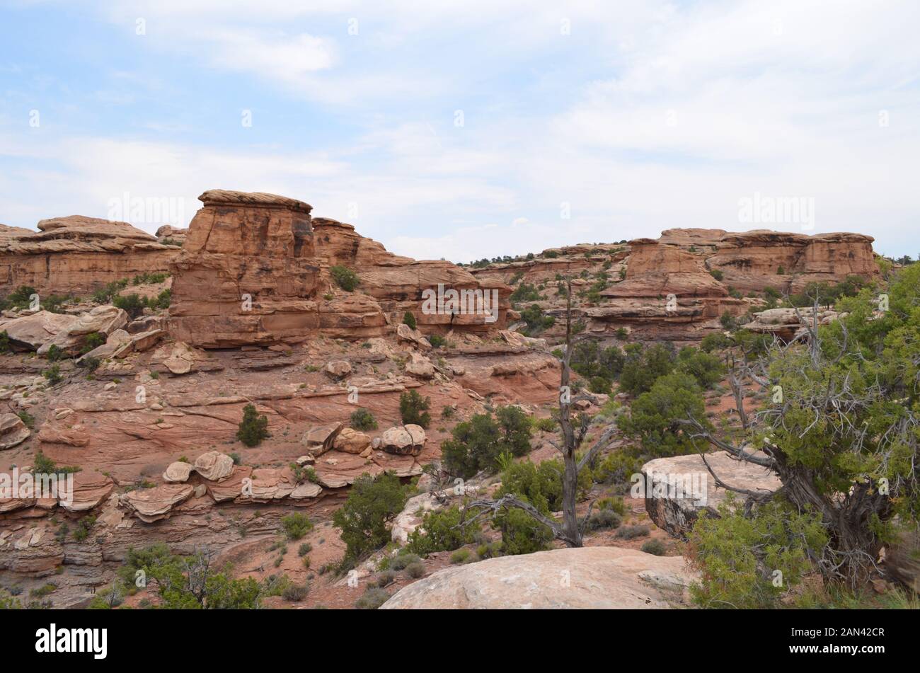 Inizio estate in Utah: Guardando verso est Lungo la cima del Big Spring Canyon dal Punto Di Vista nel Needles District del Canyonlands National Park Foto Stock