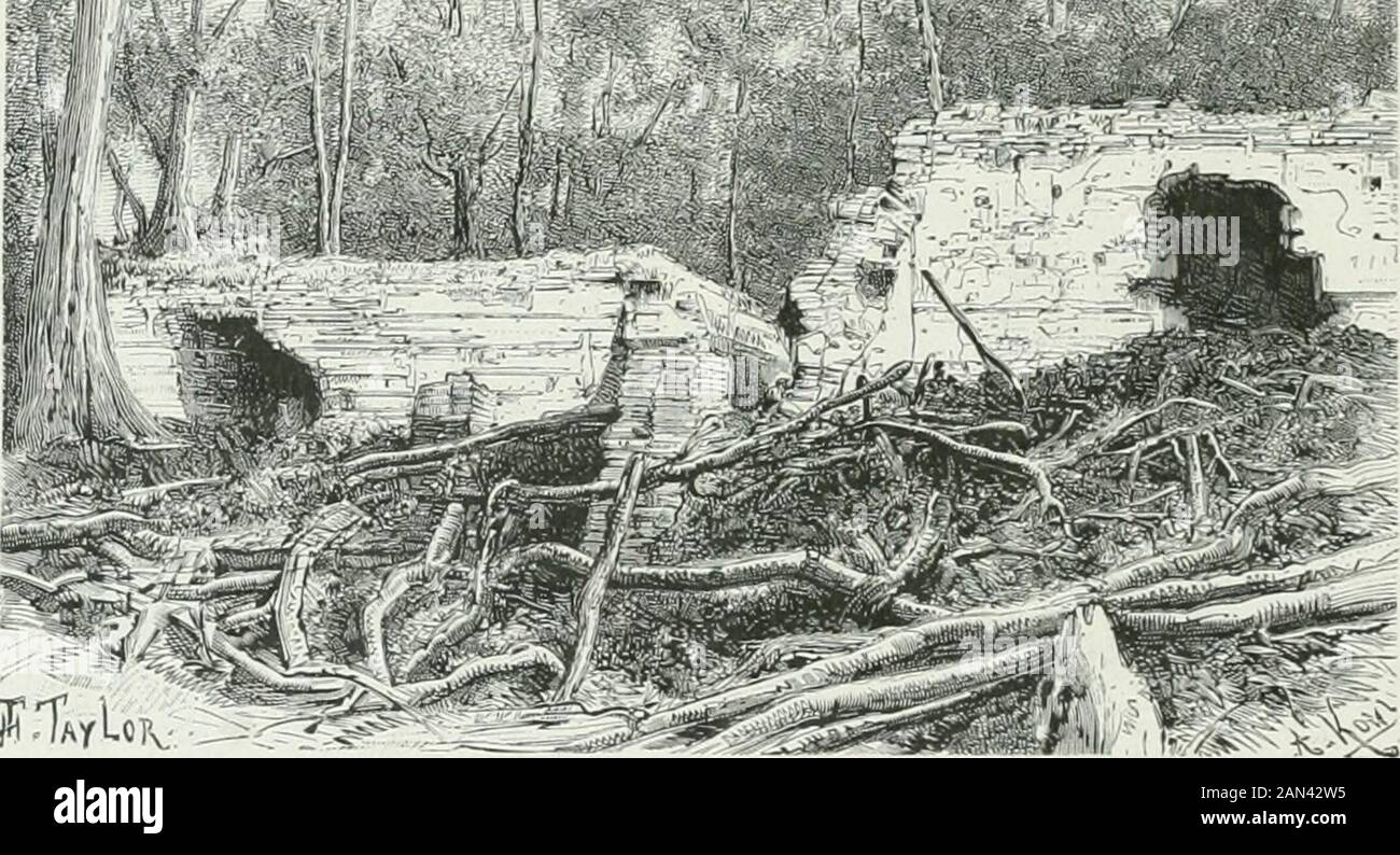 América pintoresca; descripcion de viajes al nuevo continentale por los mas modernos experadores . 43 338 AMÉRICA PINTORESCA Estas casas, lo mismo que las que descubrimos algo después, estaban uidas conarreglo al mismo modelo y sólo se diferenciaban por sus adimes. Con todo, la de la izquier-da tiene su bóveda interior como artesonada en lugar de estar lisa como en todas las demás.Las pirámides sobre las cuales se elevaban las casas formaban tres gradas sostenidas por mu-ros perpendicolari, disposición que, según hemos dicho, encontramos en todos dos edificiotantes. Después de Foto Stock