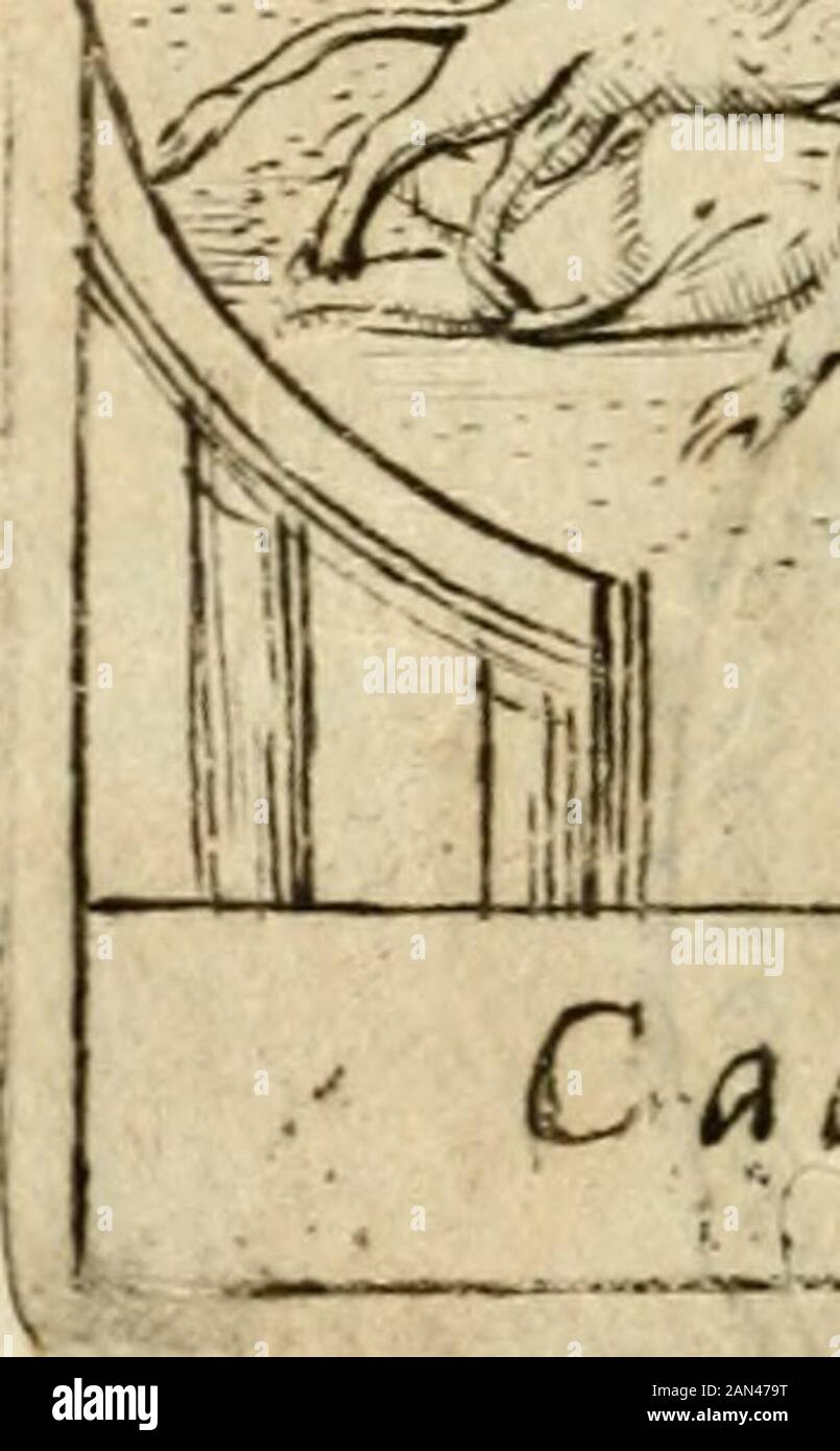 Ritratto di Roma antica : nel qvale sono figliati i principi tempij, theiri, anfiteatri, cerchi, naumachie, archi trionfali, curie, basiliche, colonne, Ordine del trionfo, dignita milari, e ciuili, riti cerimonie, & altre notabili : Aggiuntori di nuouo le vite, & effigie de' primi rè di essa, e le grandezze dell'Imperio Romano, con l'esplicationi istoriche de' piu celebrri antiquarij . r4^ i, H liili -^^ ^ Caccia n^l CoUfco. Foto Stock